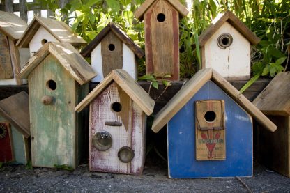 Assorted Birdhouses